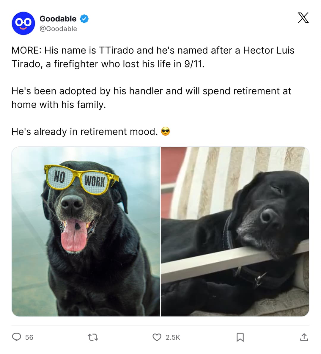 Tirado Lore Tweet