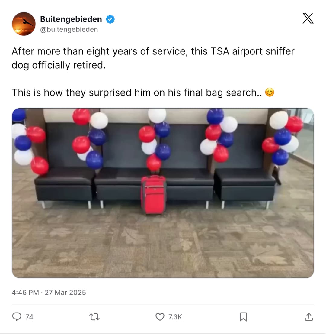 TTirado's retirement